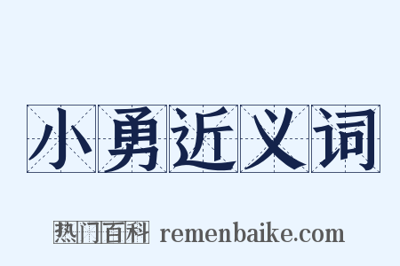 小勇近义词是什么意思的图片